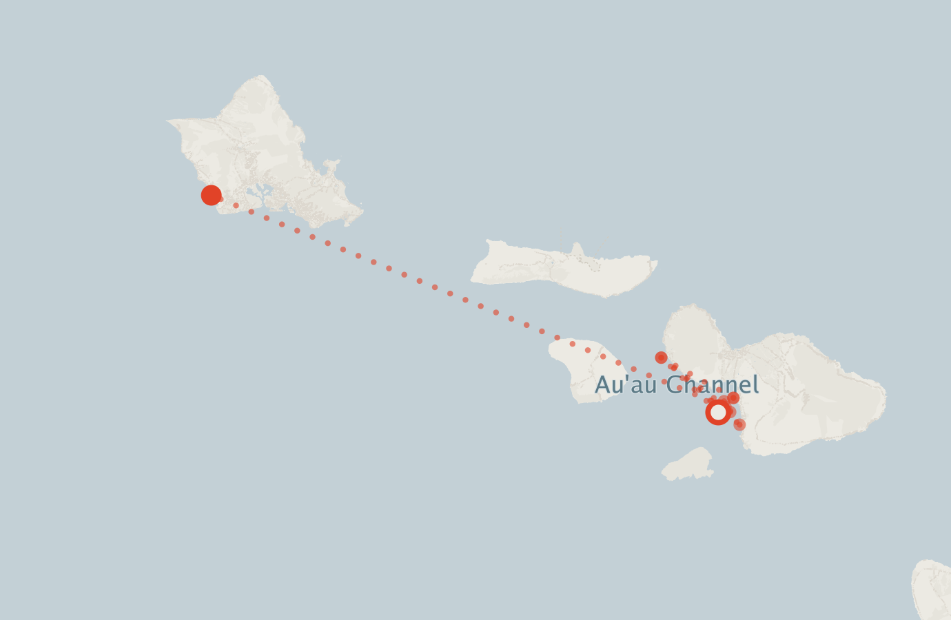 Activity map — real sighting points on an OpenStreetMap basemap