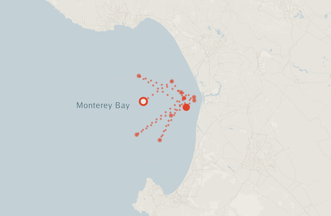 Activity map — real sighting points on an OpenStreetMap basemap