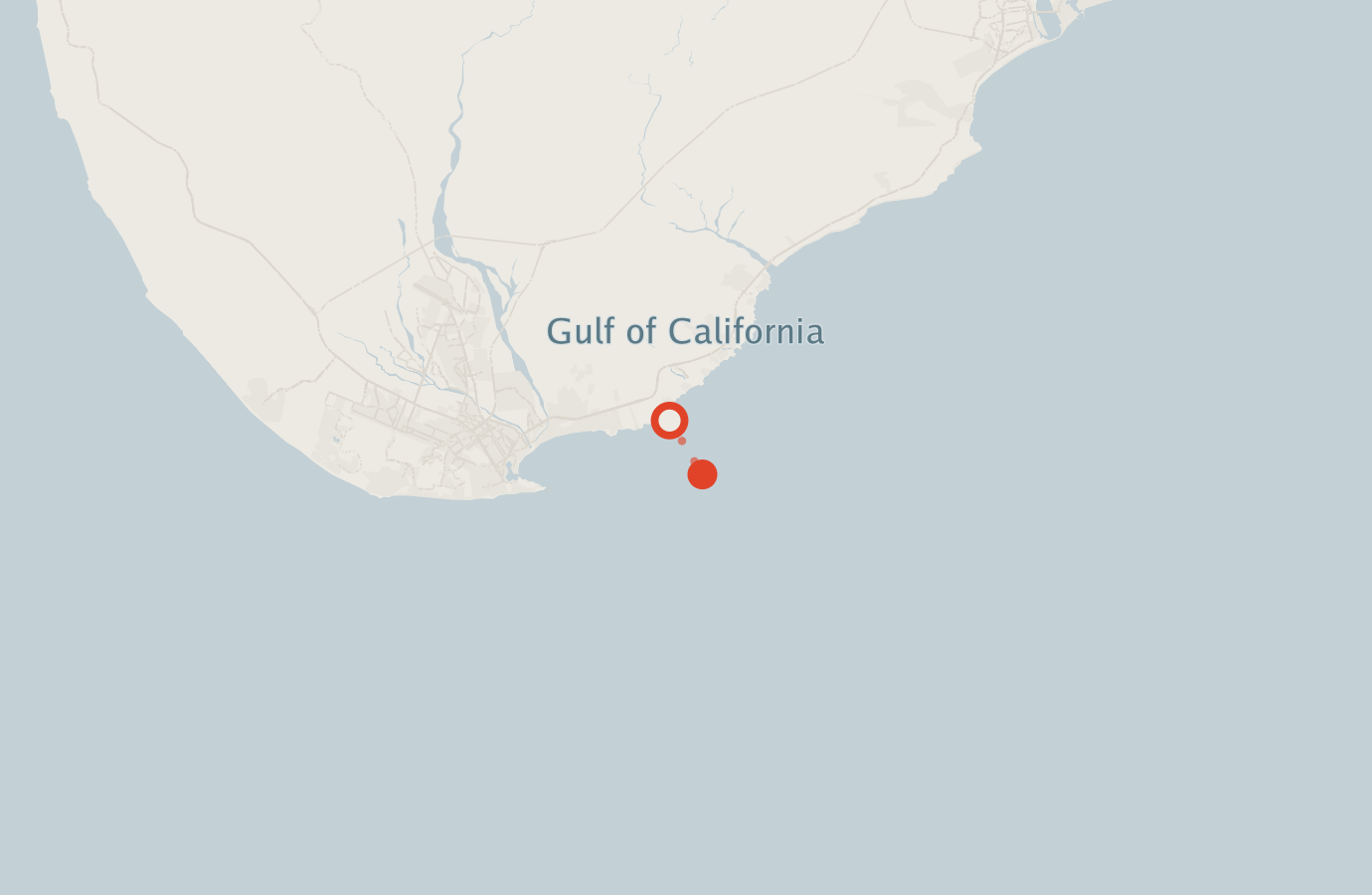 Activity map — real sighting points on an OpenStreetMap basemap