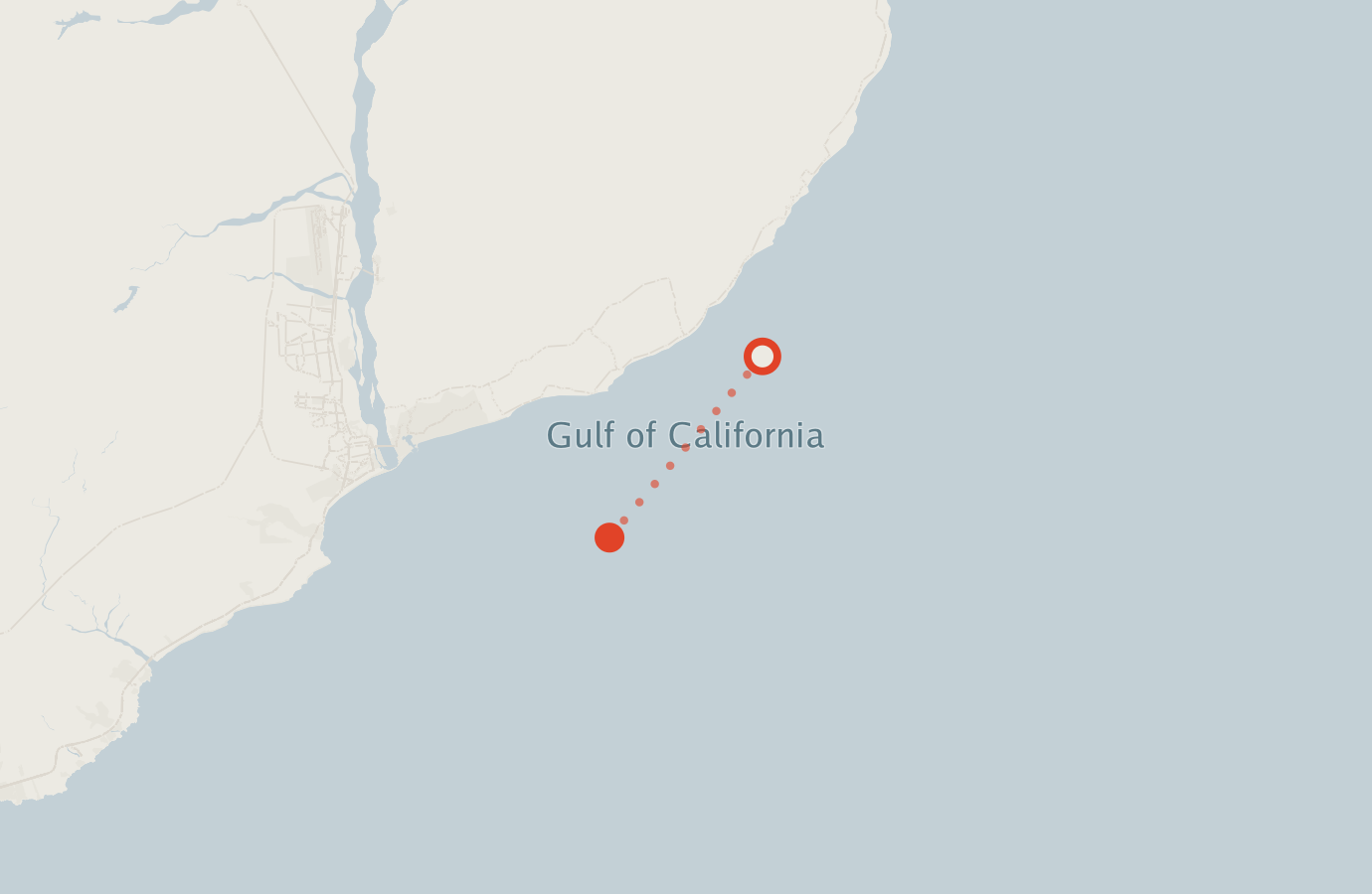 Activity map — real sighting points on an OpenStreetMap basemap