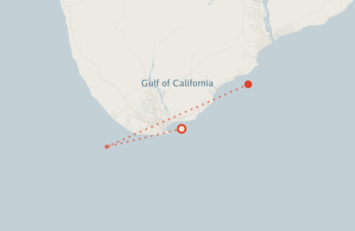 Activity map — real sighting points on an OpenStreetMap basemap