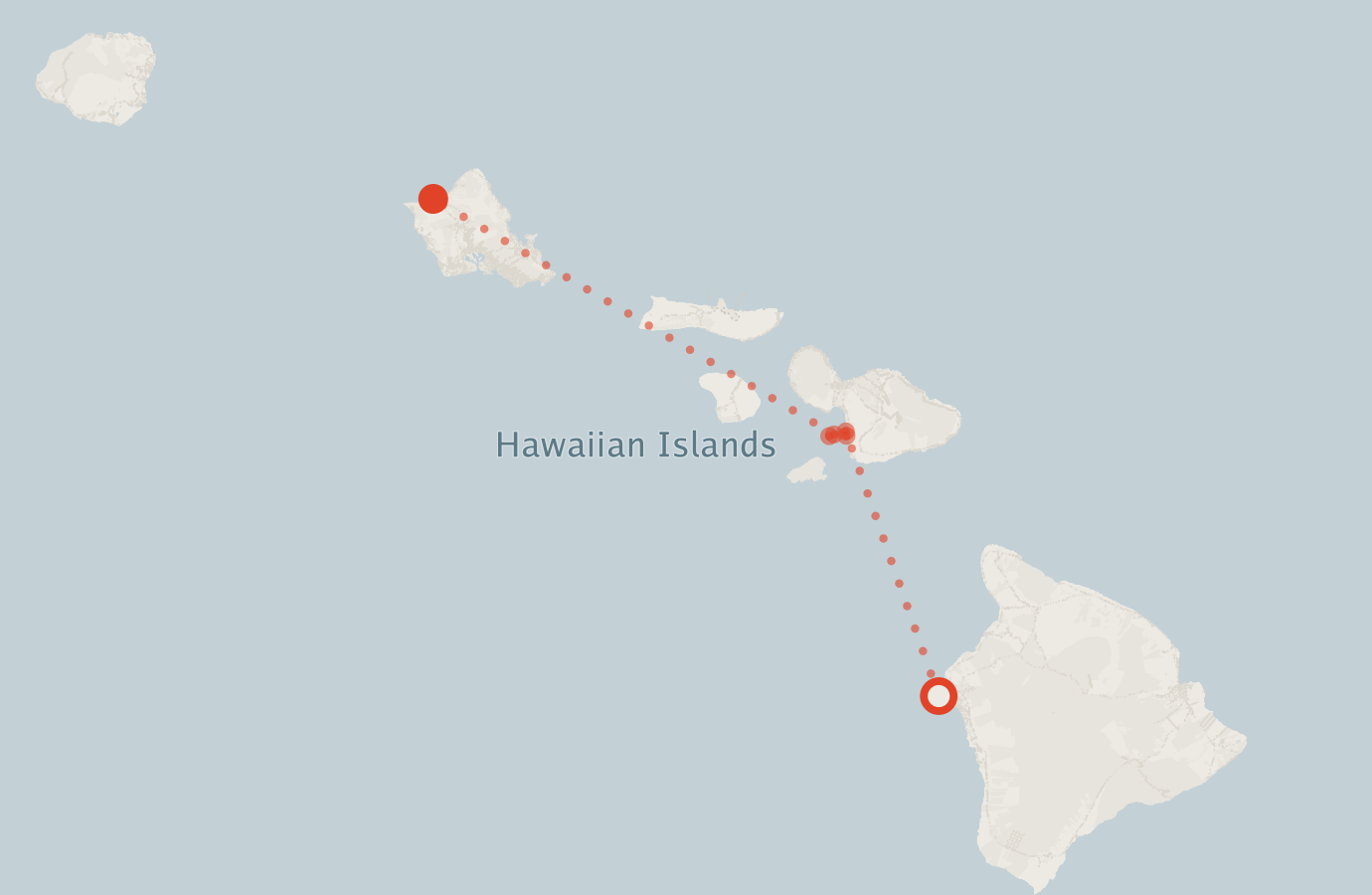 Activity map — real sighting points on an OpenStreetMap basemap
