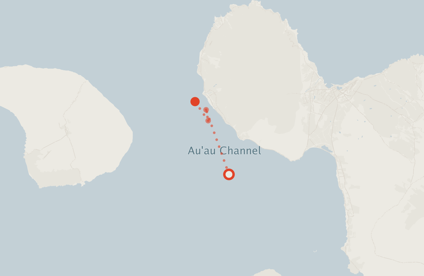 Activity map — real sighting points on an OpenStreetMap basemap