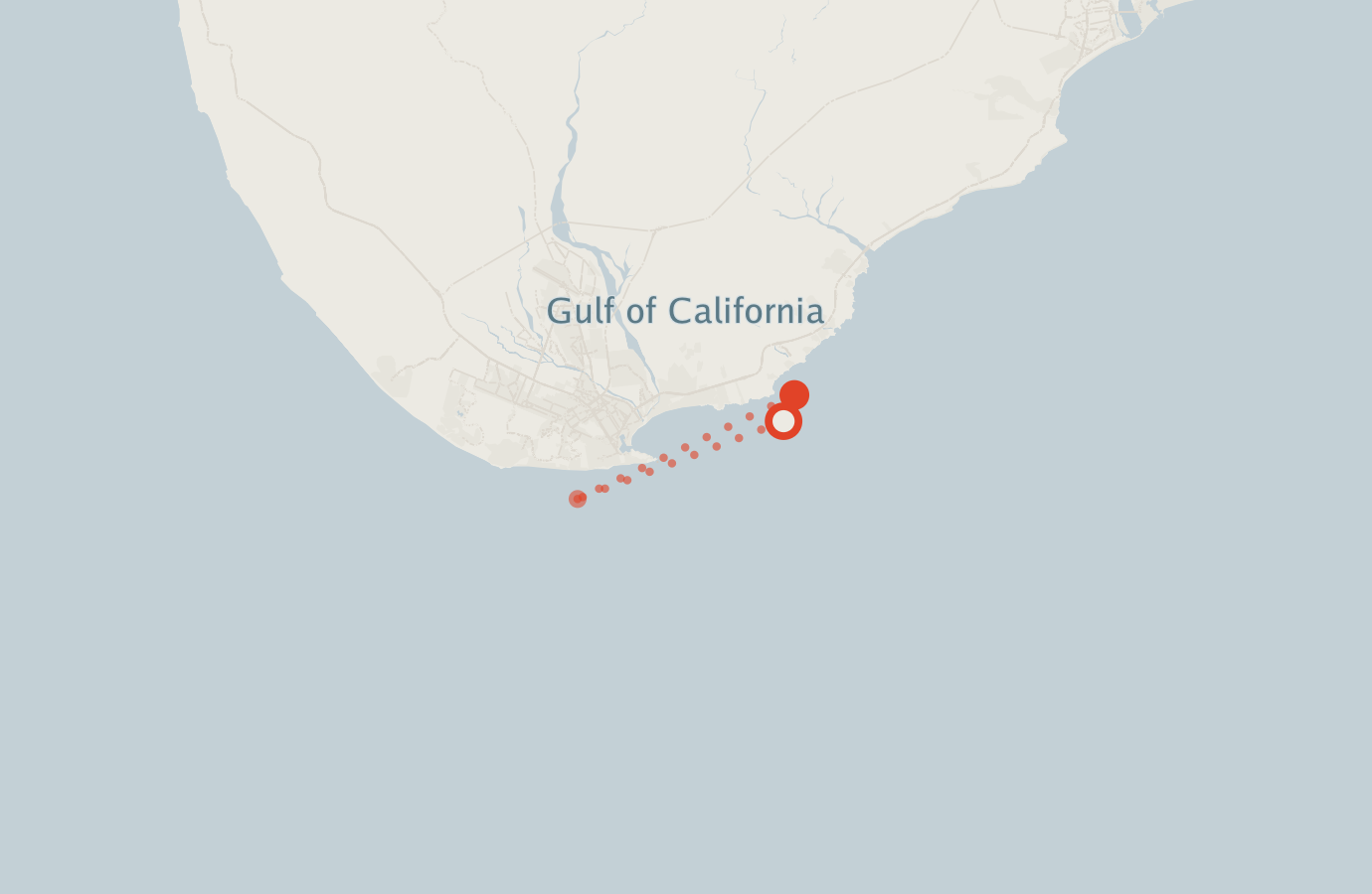 Activity map — real sighting points on an OpenStreetMap basemap