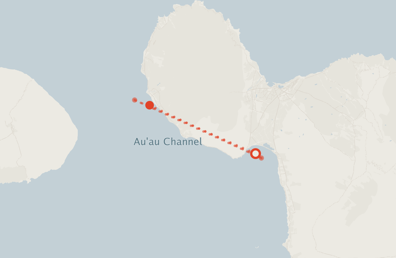 Activity map — real sighting points on an OpenStreetMap basemap