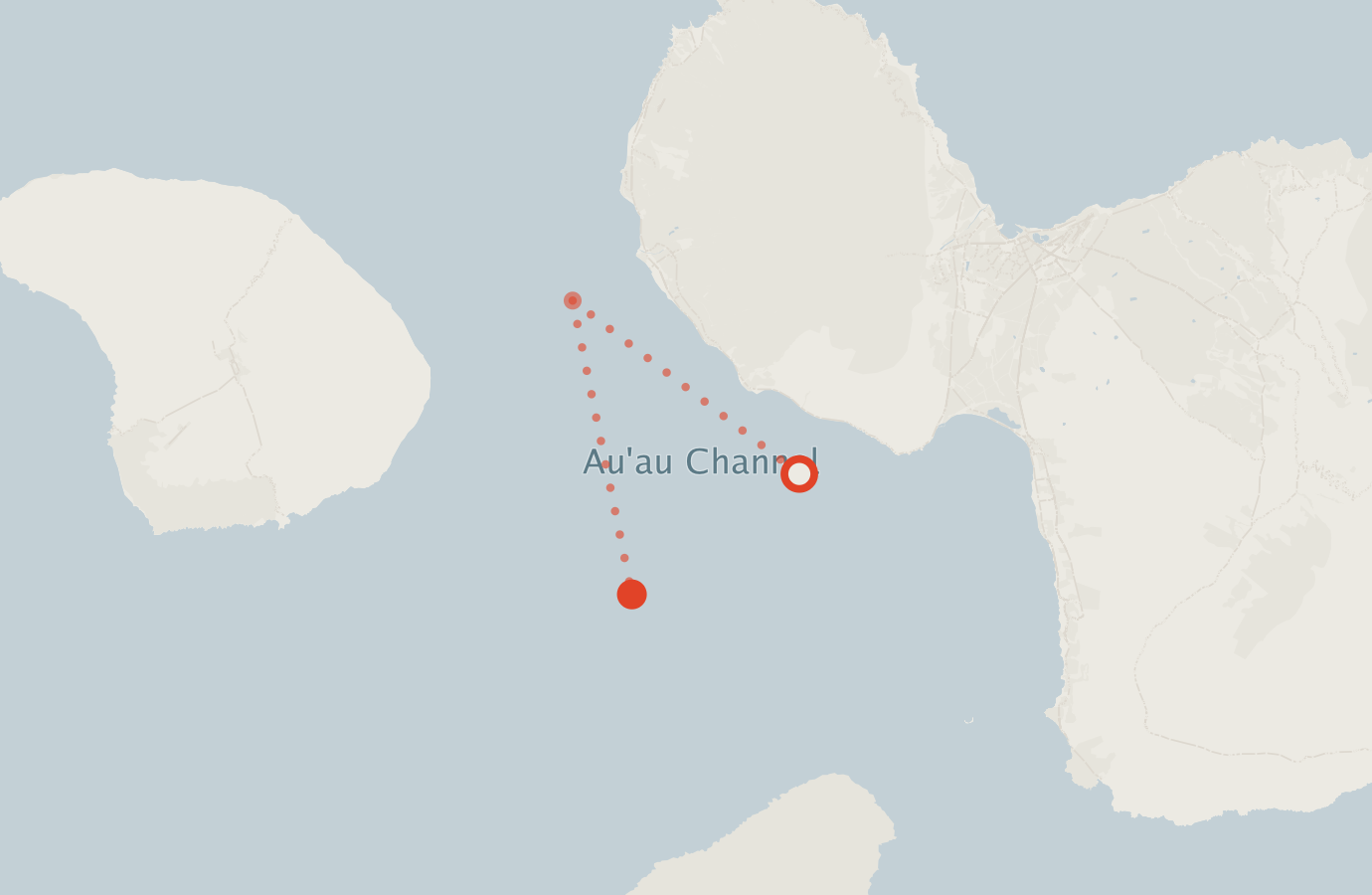 Activity map — real sighting points on an OpenStreetMap basemap