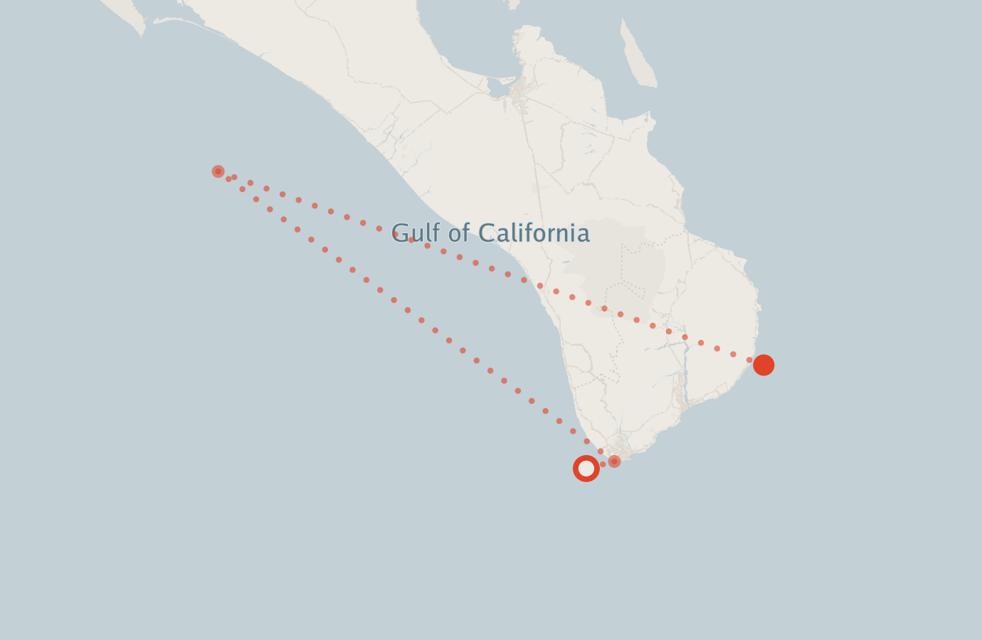 Activity map — real sighting points on an OpenStreetMap basemap