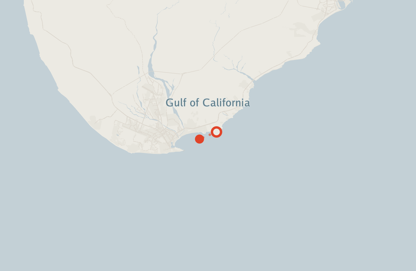 Activity map — real sighting points on an OpenStreetMap basemap