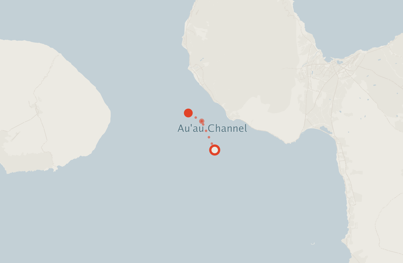 Activity map — real sighting points on an OpenStreetMap basemap