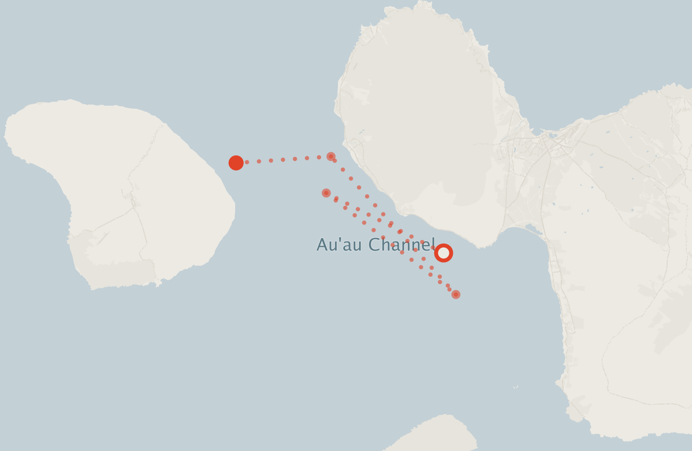 Activity map — real sighting points on an OpenStreetMap basemap