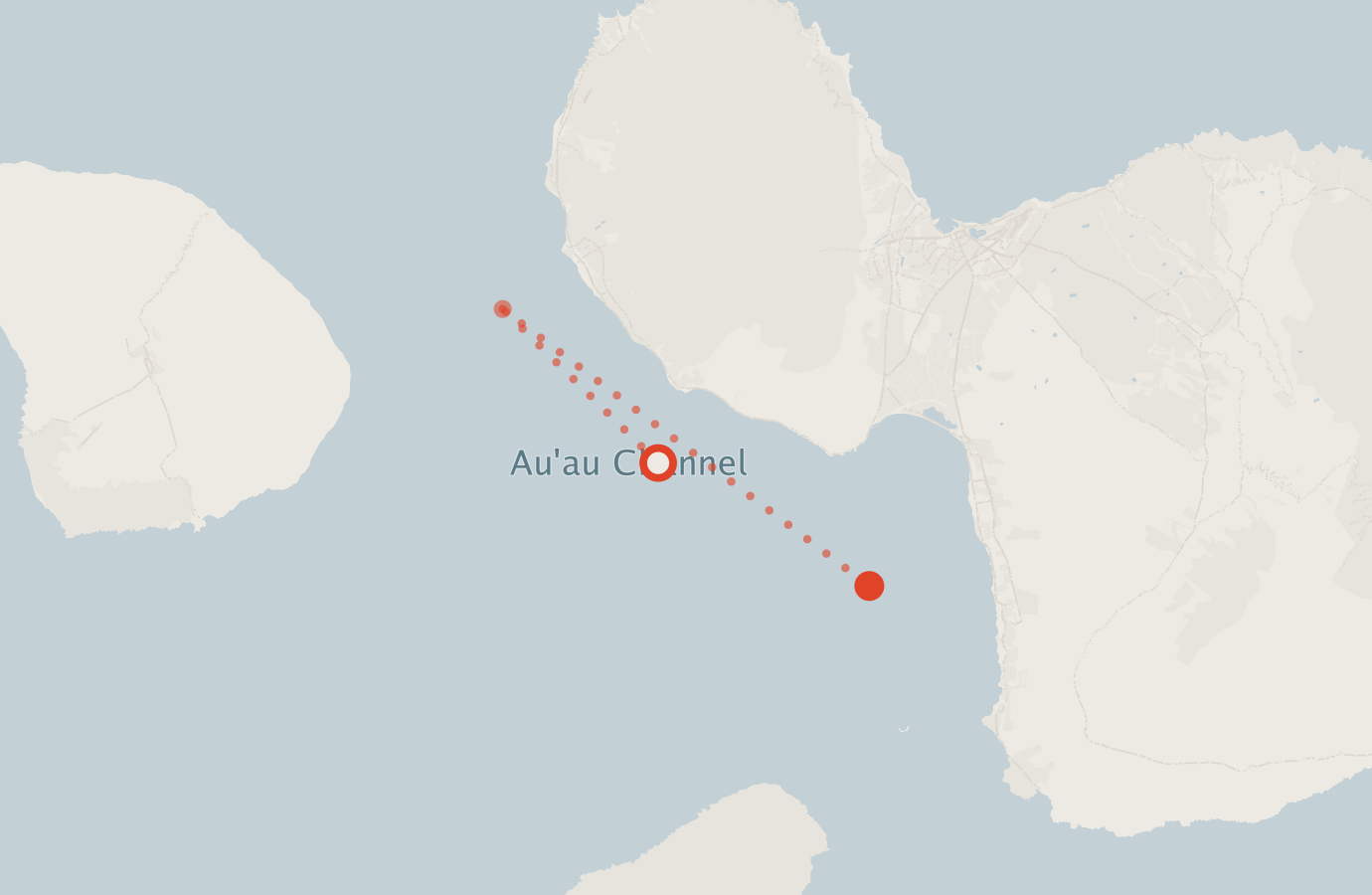Activity map — real sighting points on an OpenStreetMap basemap