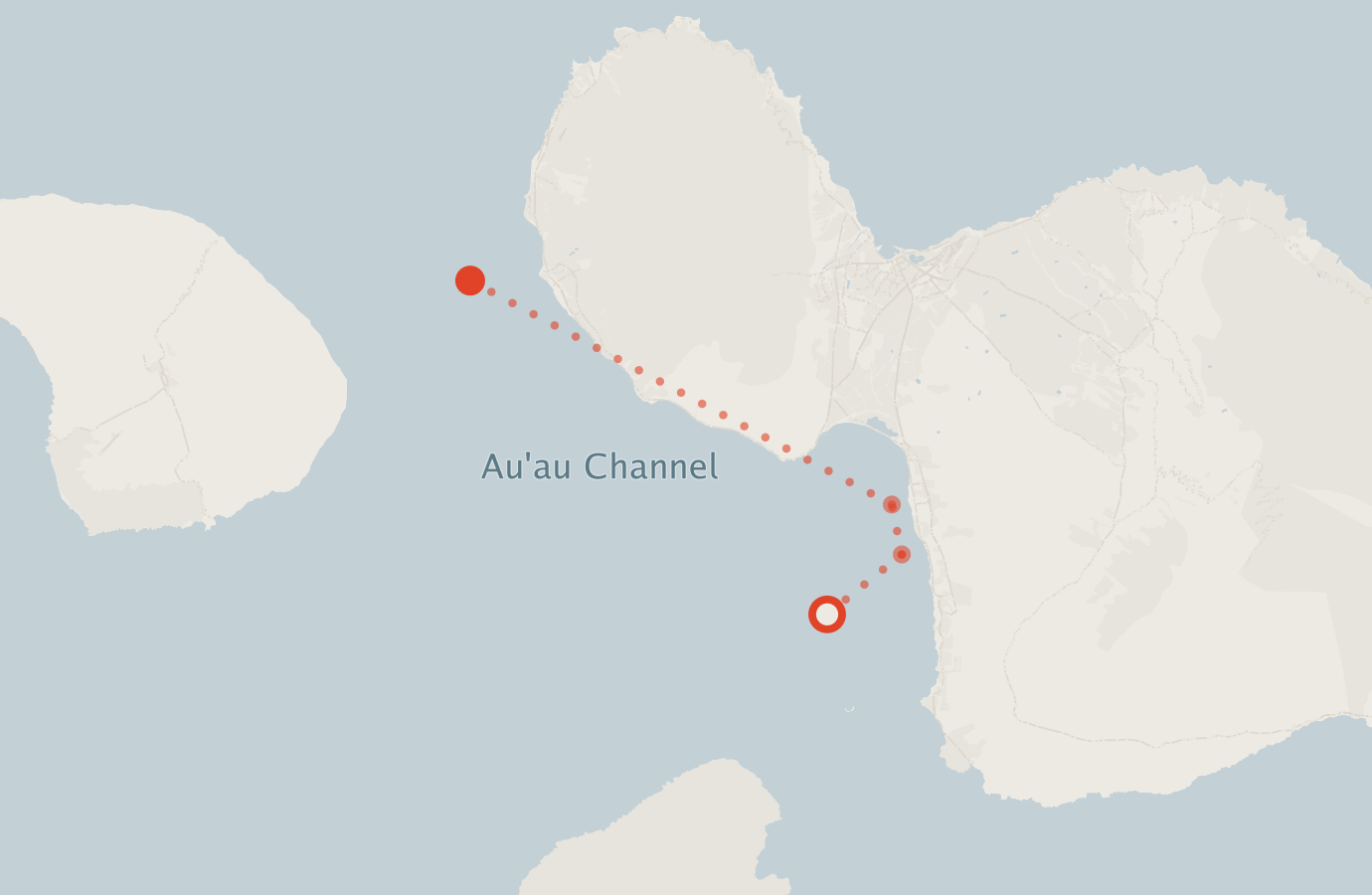 Activity map — real sighting points on an OpenStreetMap basemap