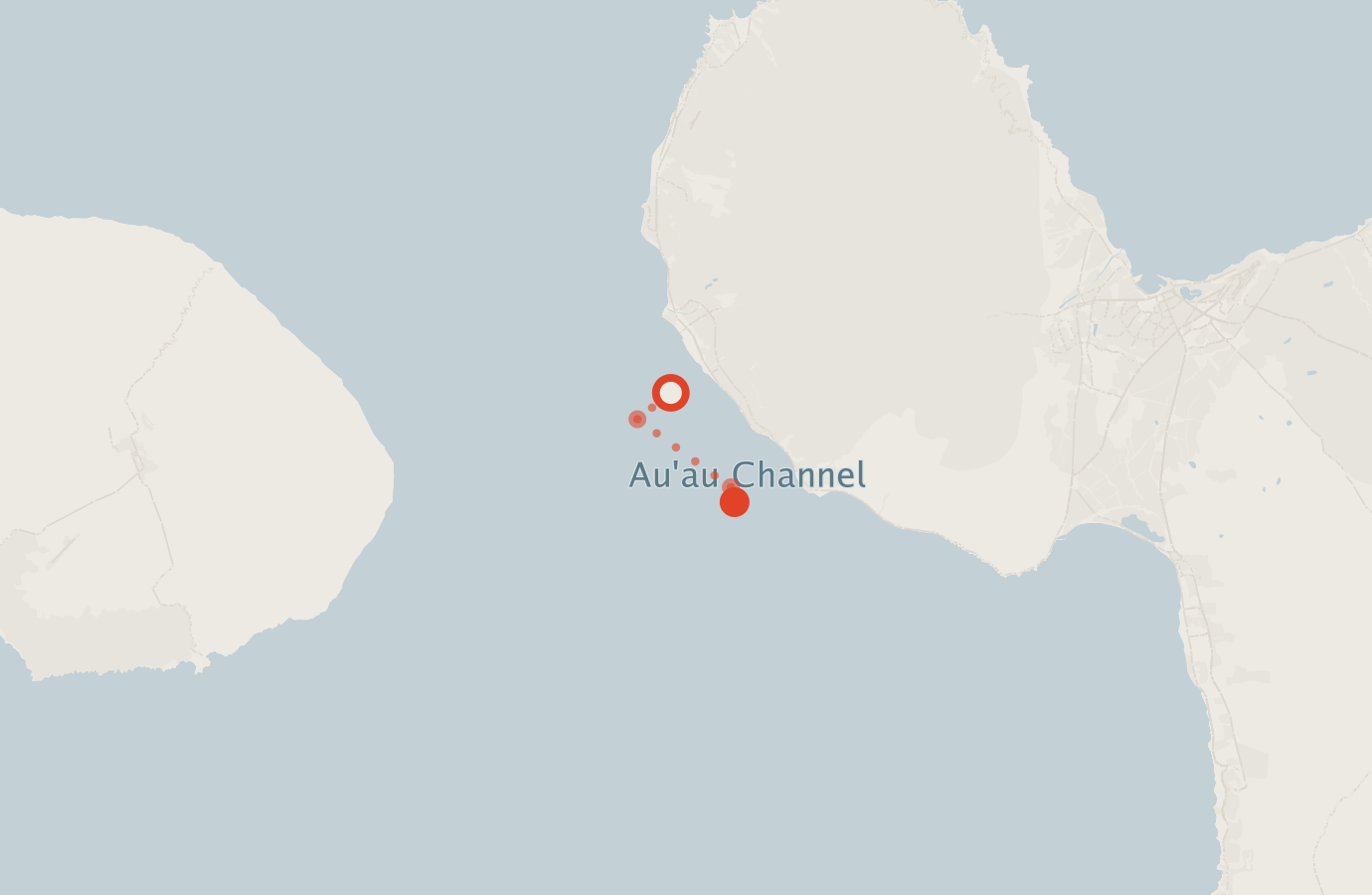 Activity map — real sighting points on an OpenStreetMap basemap
