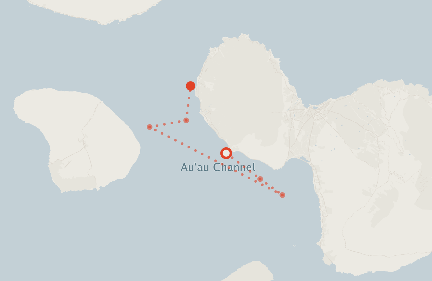 Activity map — real sighting points on an OpenStreetMap basemap
