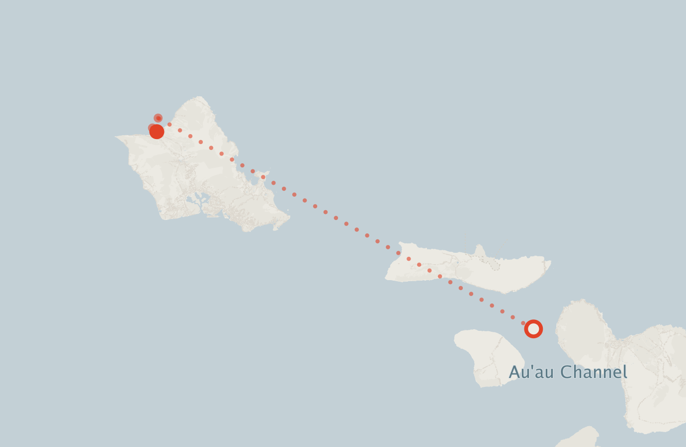 Activity map — real sighting points on an OpenStreetMap basemap