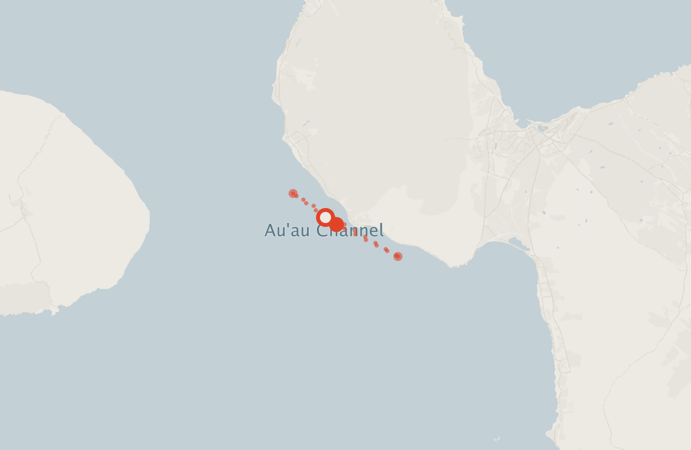 Activity map — real sighting points on an OpenStreetMap basemap