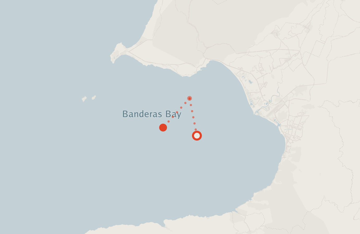 Activity map — real sighting points on an OpenStreetMap basemap