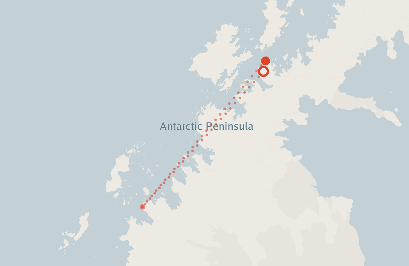 Activity map — real sighting points on an OpenStreetMap basemap