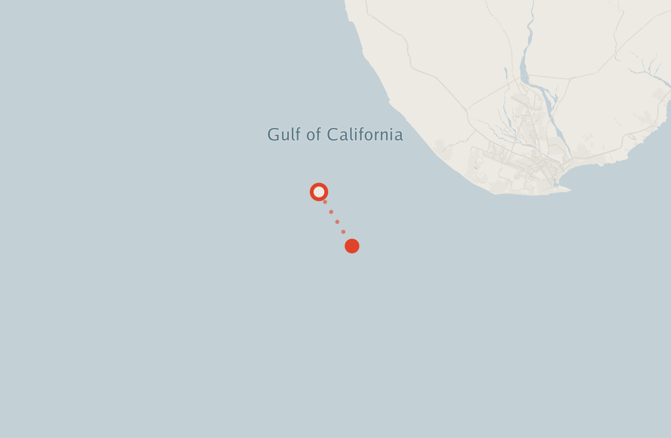 Activity map — real sighting points on an OpenStreetMap basemap