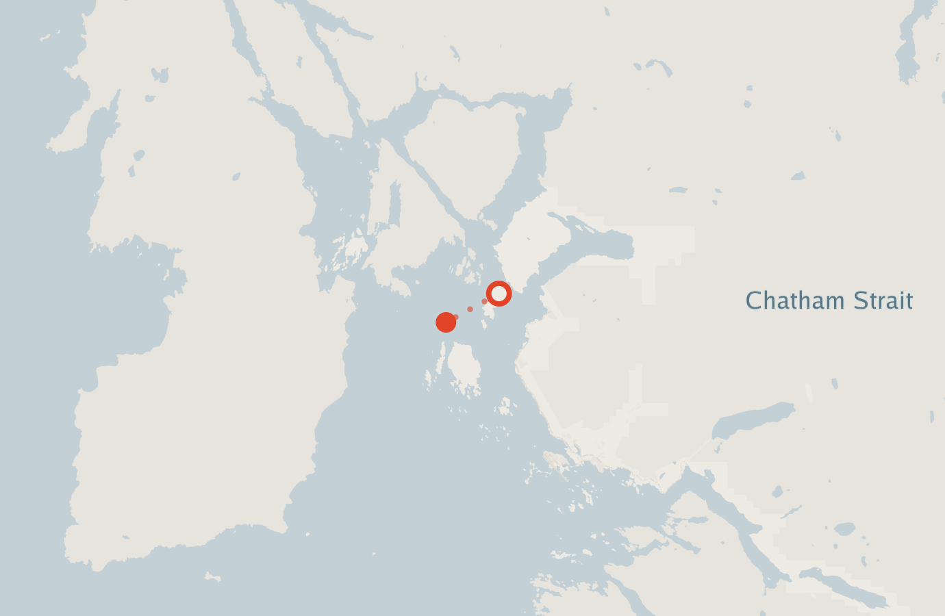 Activity map — real sighting points on an OpenStreetMap basemap
