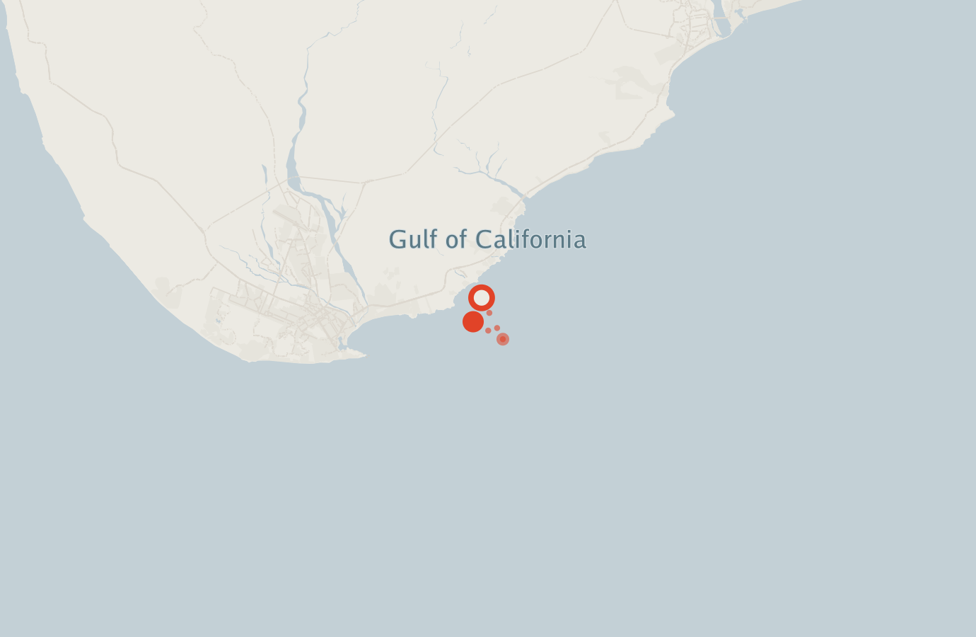 Activity map — real sighting points on an OpenStreetMap basemap