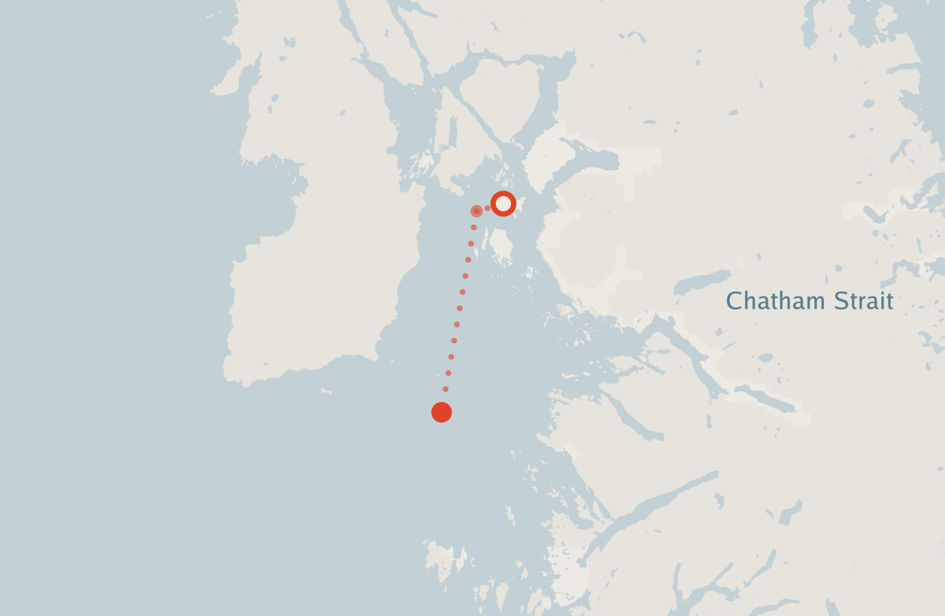 Activity map — real sighting points on an OpenStreetMap basemap