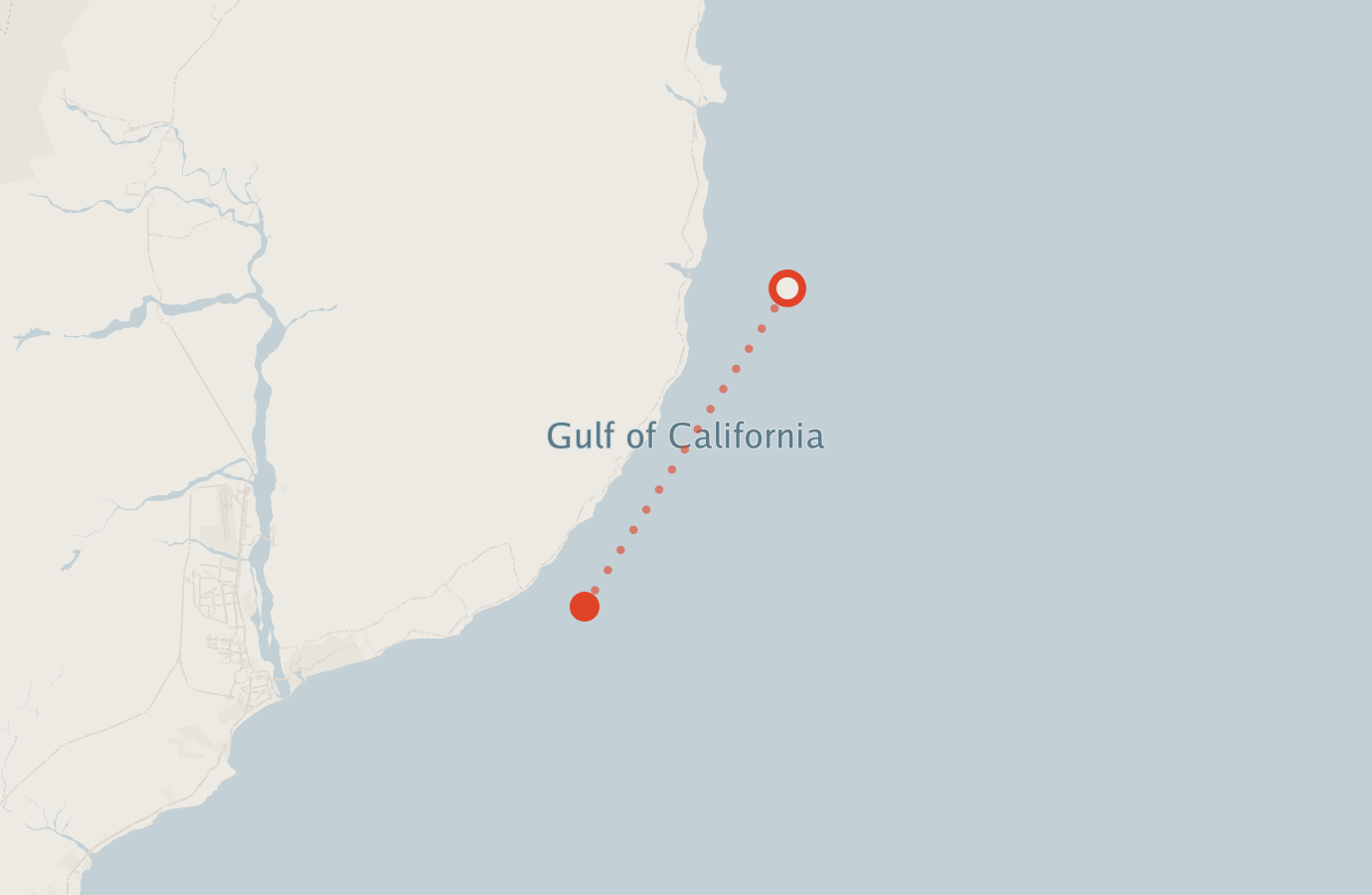 Activity map — real sighting points on an OpenStreetMap basemap