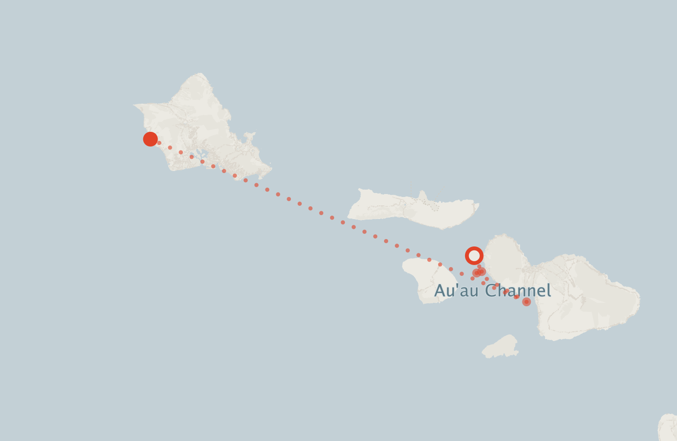 Activity map — real sighting points on an OpenStreetMap basemap