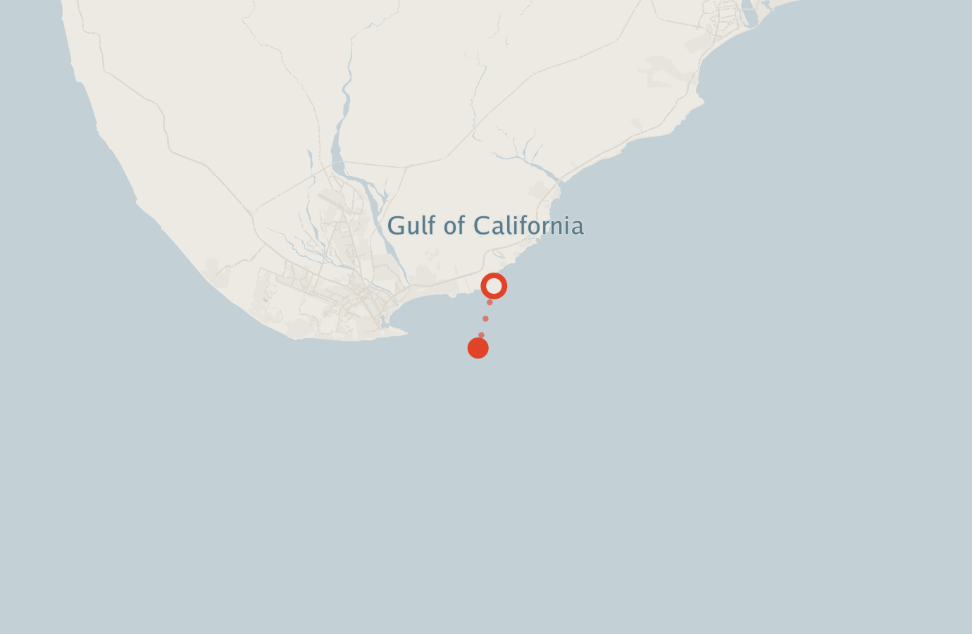 Activity map — real sighting points on an OpenStreetMap basemap