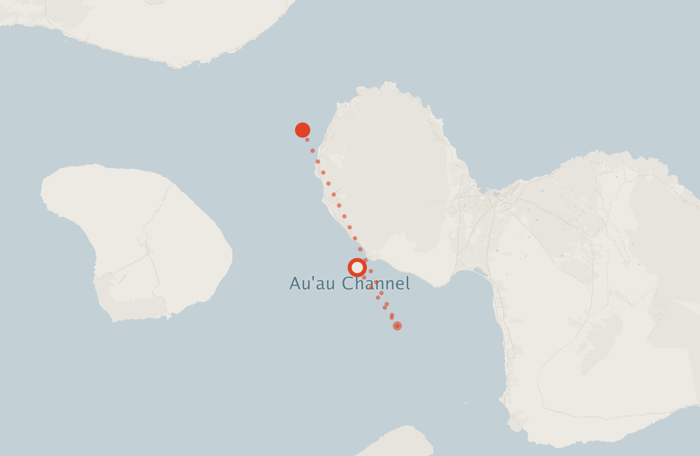 Activity map — real sighting points on an OpenStreetMap basemap