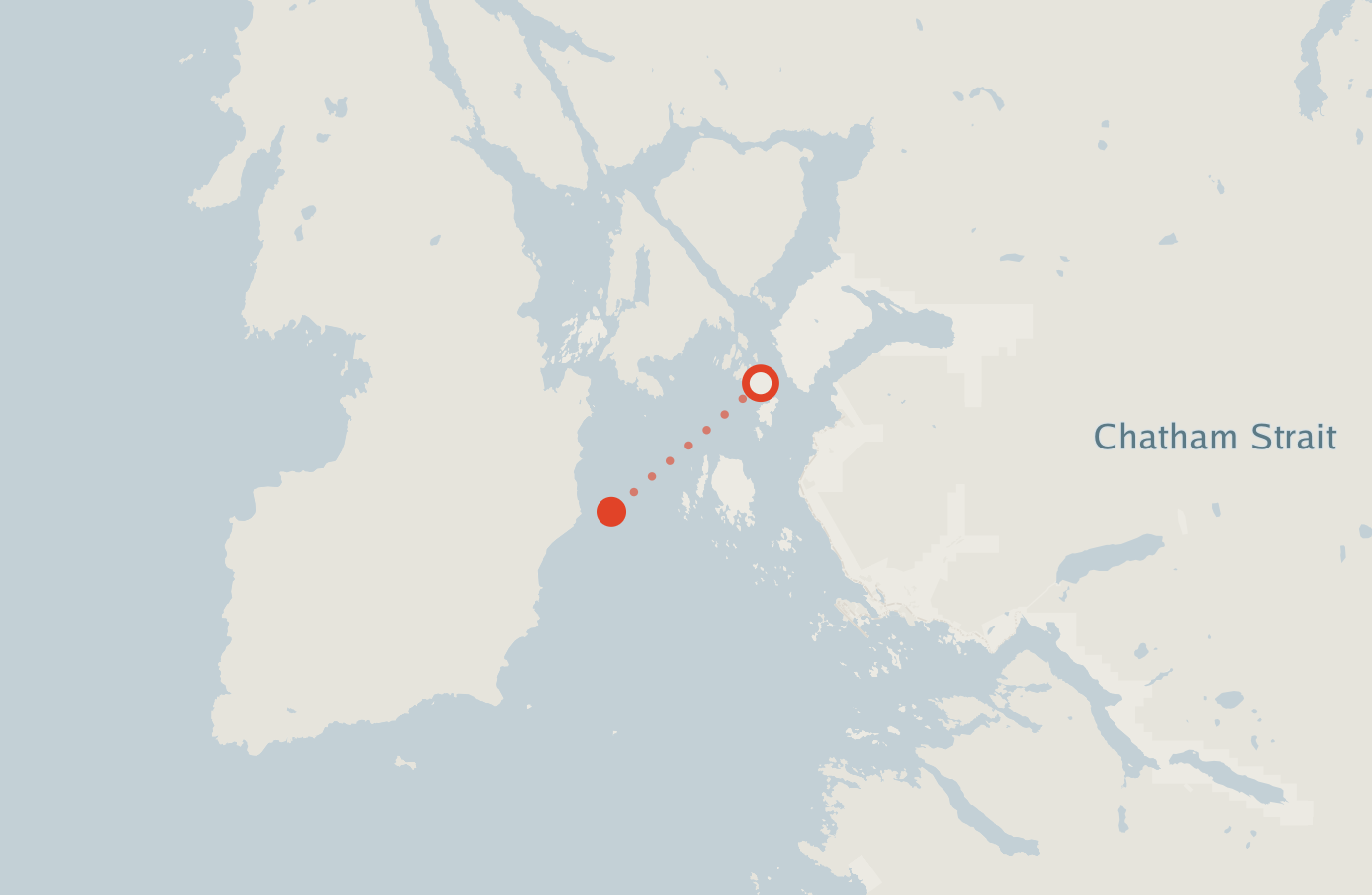 Activity map — real sighting points on an OpenStreetMap basemap