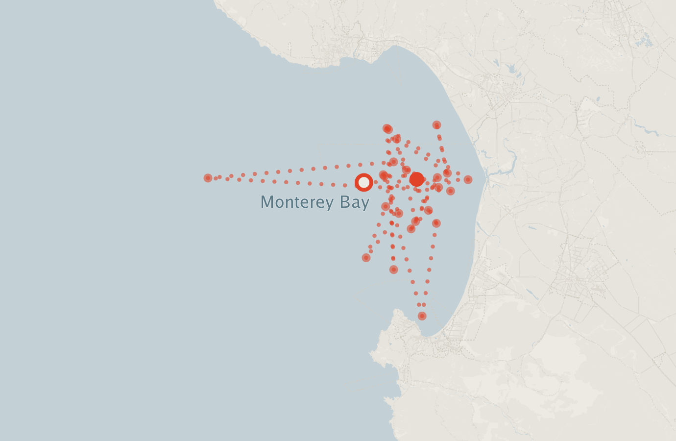 Activity map — real sighting points on an OpenStreetMap basemap