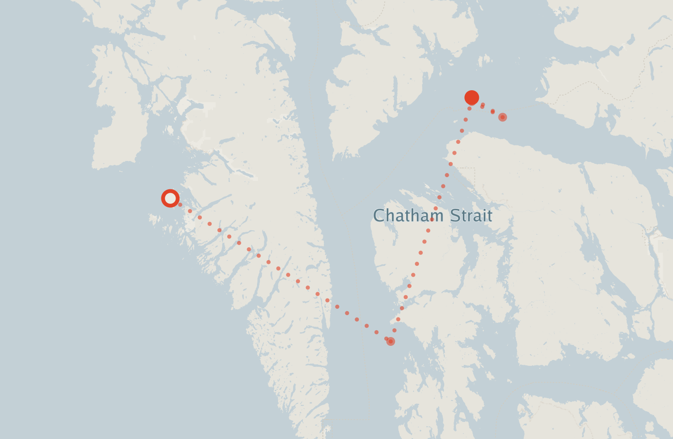 Activity map — real sighting points on an OpenStreetMap basemap