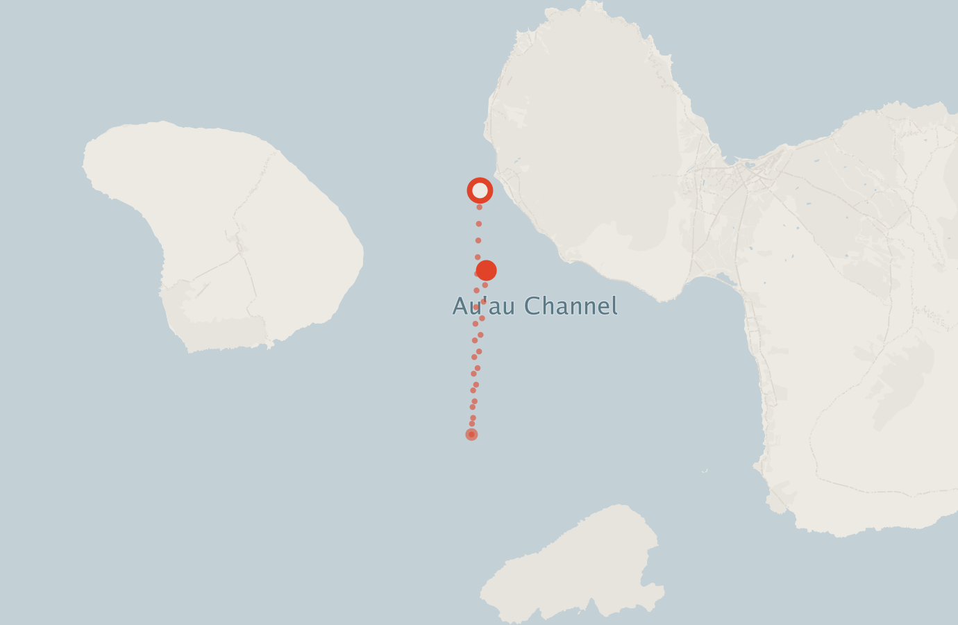 Activity map — real sighting points on an OpenStreetMap basemap