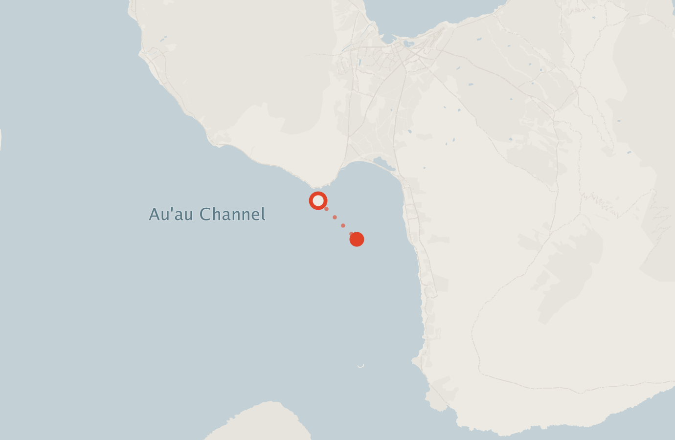 Activity map — real sighting points on an OpenStreetMap basemap