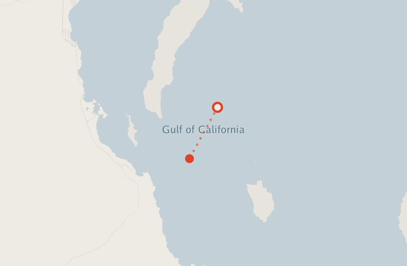 Activity map — real sighting points on an OpenStreetMap basemap