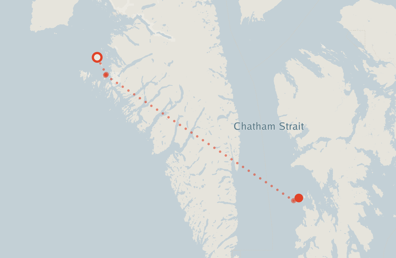 Activity map — real sighting points on an OpenStreetMap basemap