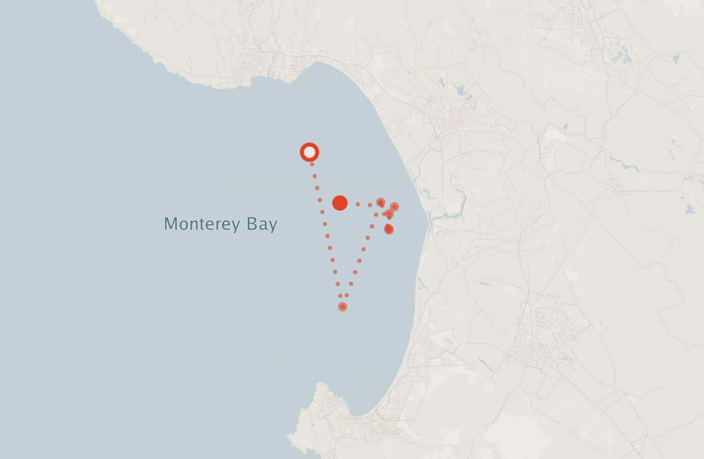 Activity map — real sighting points on an OpenStreetMap basemap