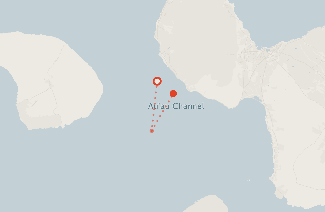 Activity map — real sighting points on an OpenStreetMap basemap