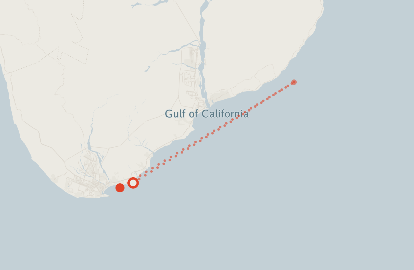 Activity map — real sighting points on an OpenStreetMap basemap