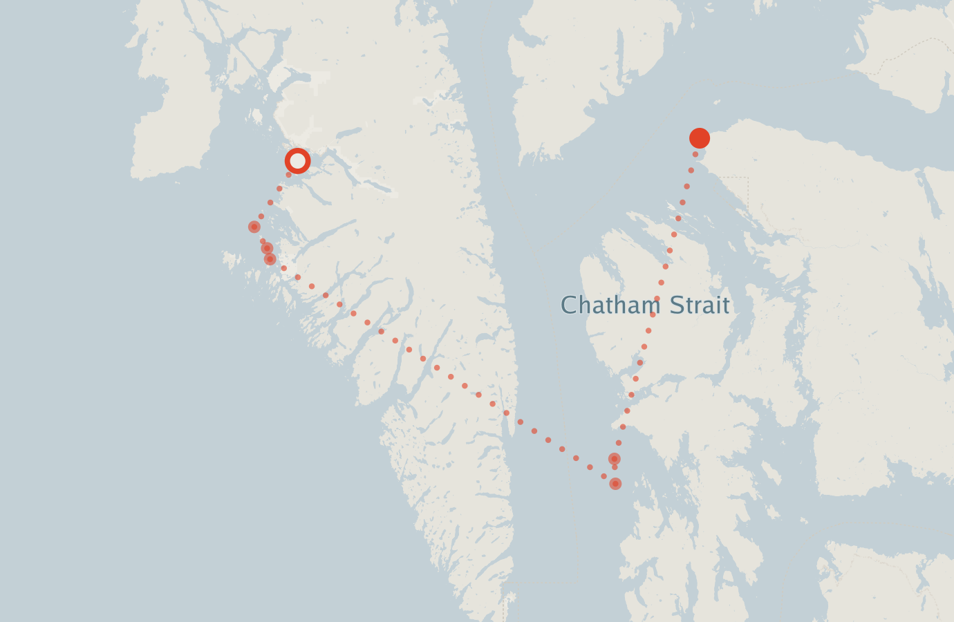 Activity map — real sighting points on an OpenStreetMap basemap