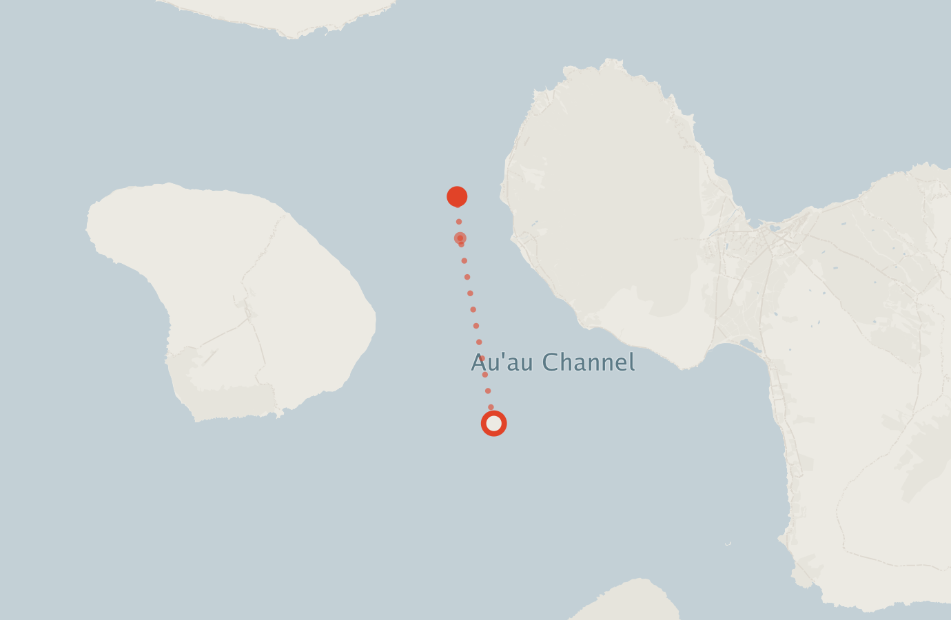 Activity map — real sighting points on an OpenStreetMap basemap