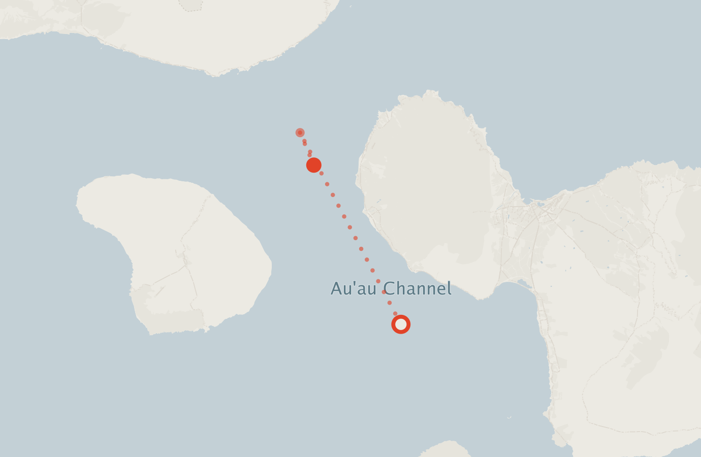 Activity map — real sighting points on an OpenStreetMap basemap