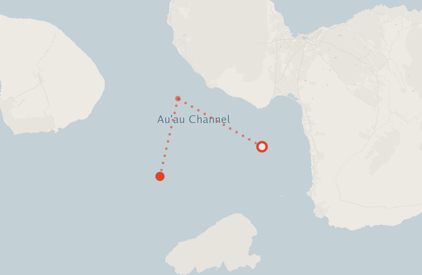 Activity map — real sighting points on an OpenStreetMap basemap