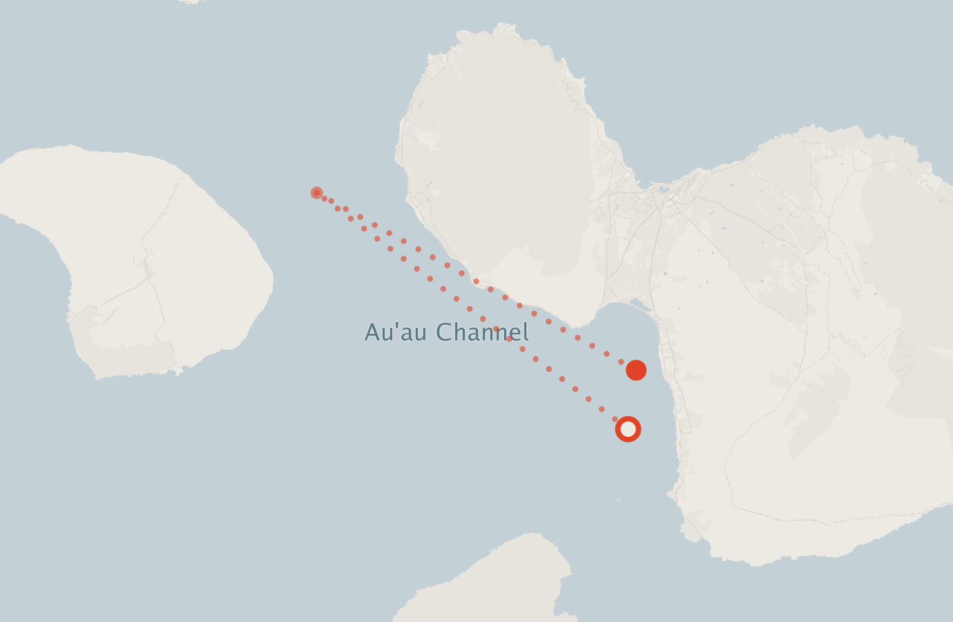 Activity map — real sighting points on an OpenStreetMap basemap
