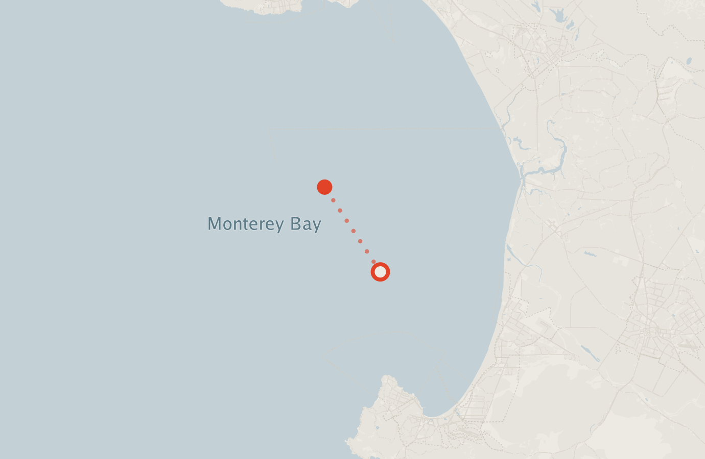 Activity map — real sighting points on an OpenStreetMap basemap