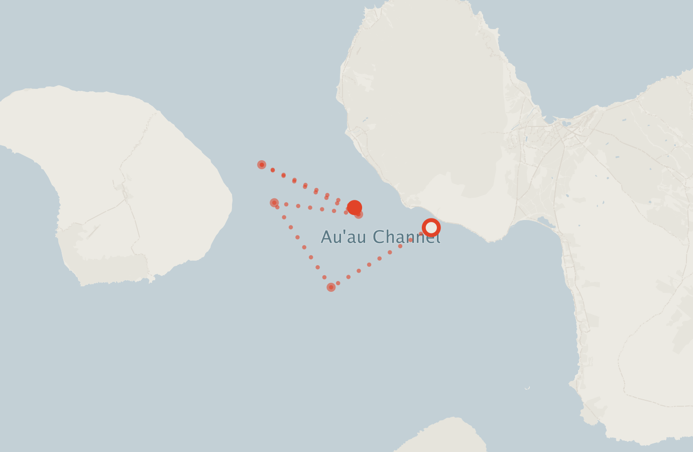 Activity map — real sighting points on an OpenStreetMap basemap