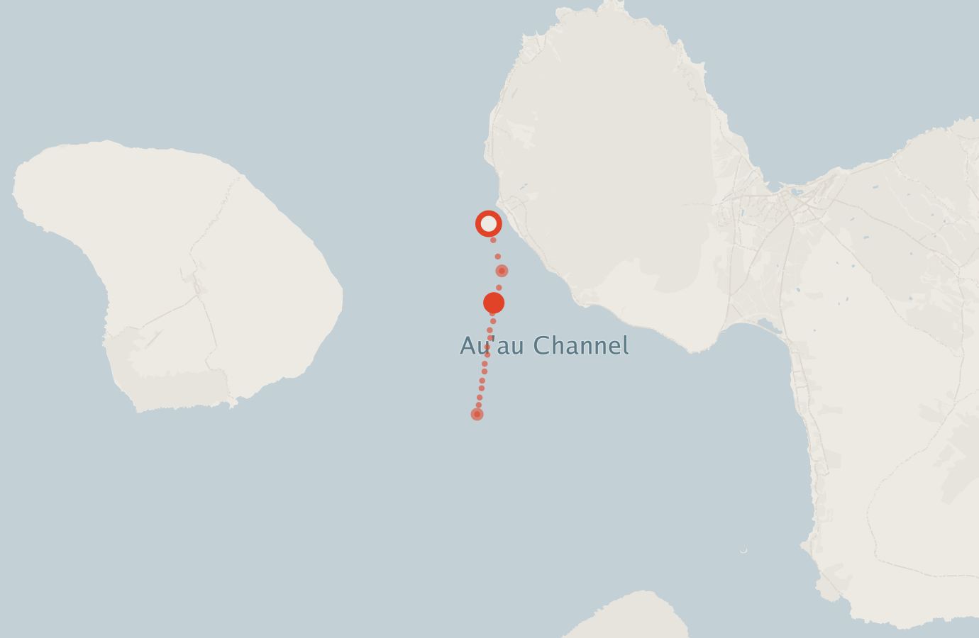 Activity map — real sighting points on an OpenStreetMap basemap