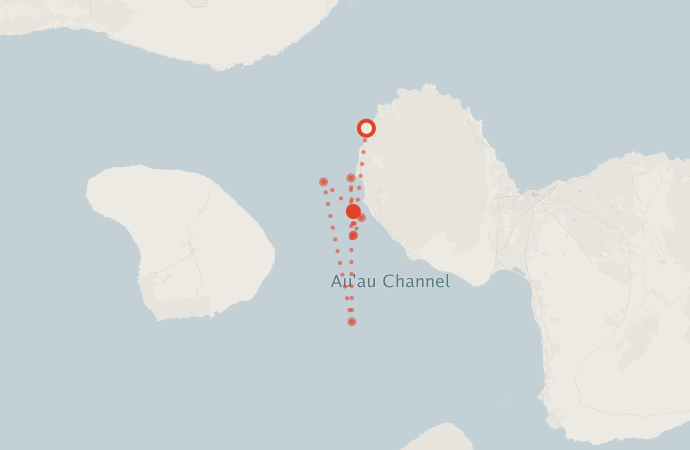 Activity map — real sighting points on an OpenStreetMap basemap