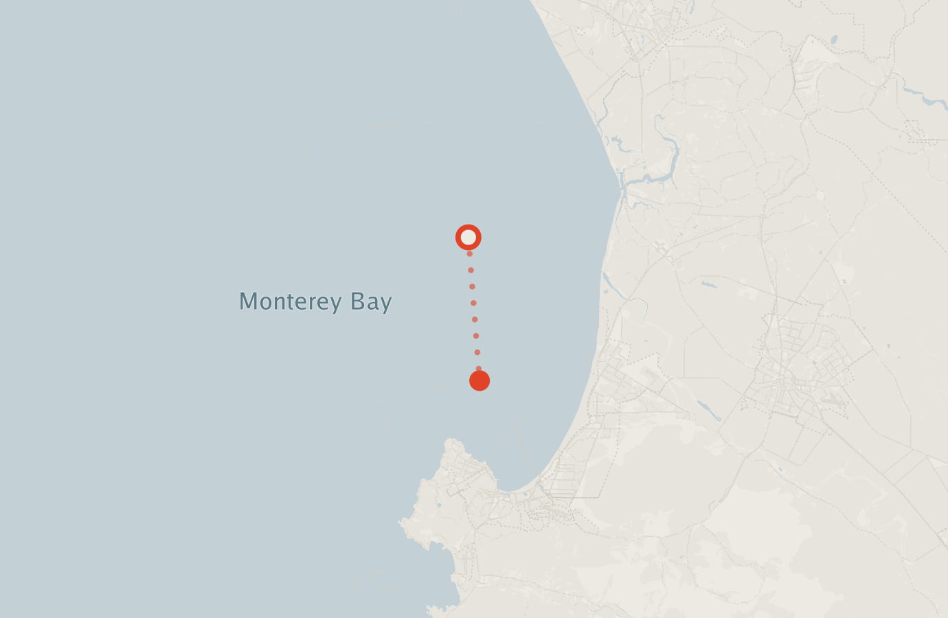 Activity map — real sighting points on an OpenStreetMap basemap